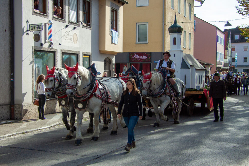 Vereinsfest 2