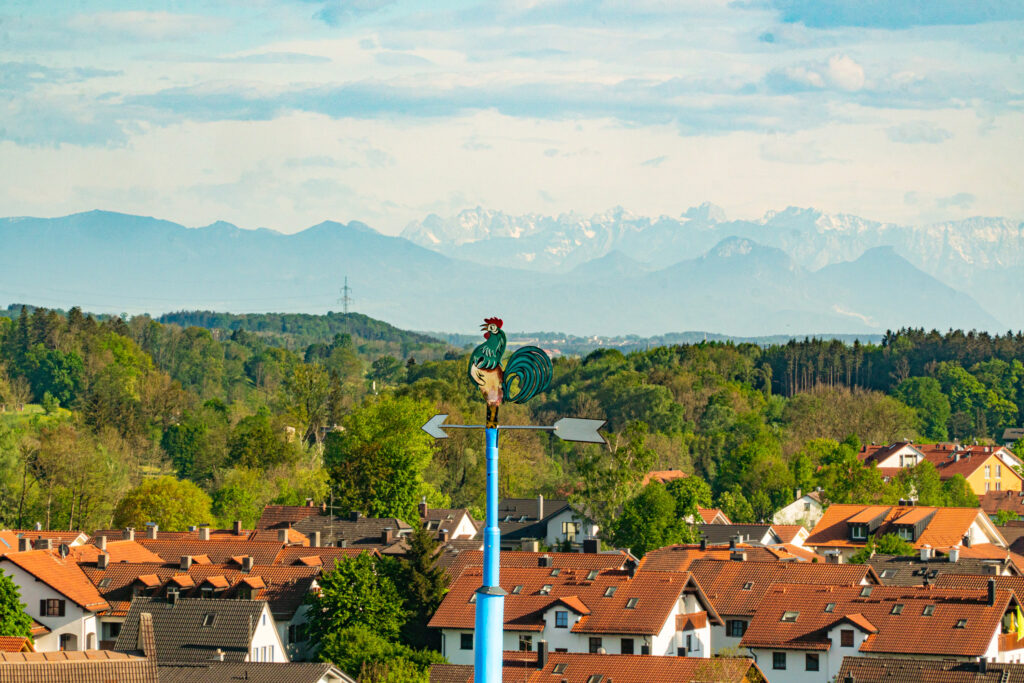 Maibaum 2024