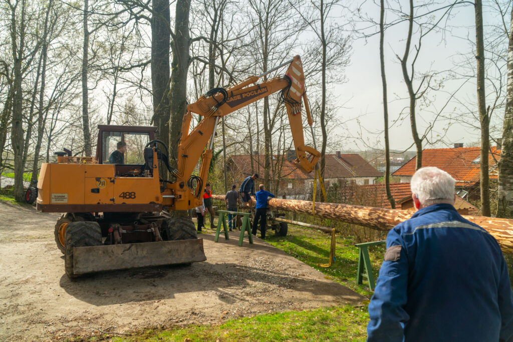 Maibaum Ankunft